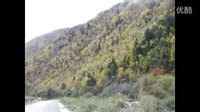 金川紅葉似彩霞