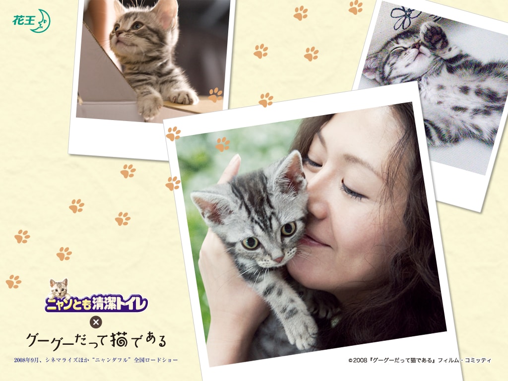 http://www.omega3-ala.com/pics/default/download/fec435722d68b3f3dd350eb3003a5b4a.jpg