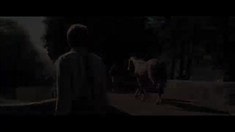 電視宣傳片5