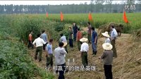 《兩人女人的戰(zhàn)爭(zhēng)》欣梅帶領(lǐng)女知青向男知青發(fā)起挑戰(zhàn)