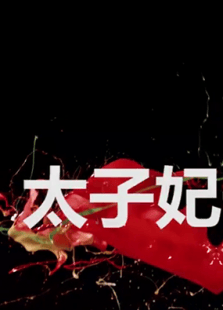 太子妃的升職記