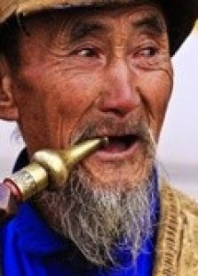許愿樹下