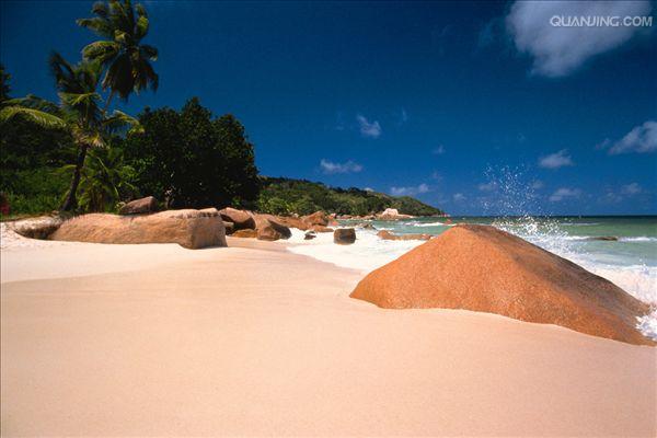 http://www.omega3-ala.com/pics/default/download/ffa992d541cadbc28b394cd2b6f16fdf.jpg