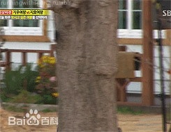 http://www.omega3-ala.com/pics/star/pic/13a994a283c3e5cf69d399e2d09d755e.jpg