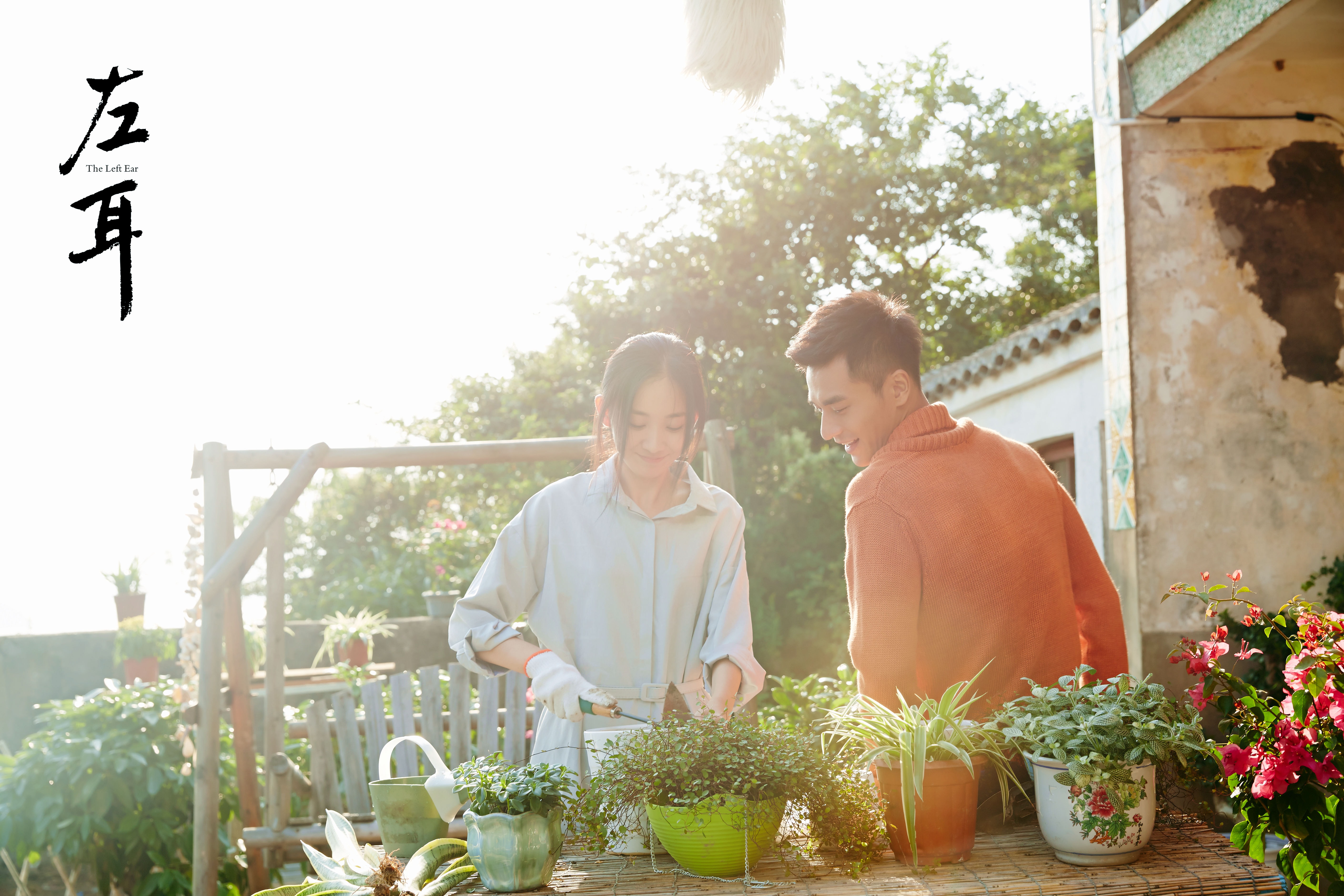 http://www.omega3-ala.com/pics/star/pic/2e7d/e1fffd9656dd86a132e10cee9537.jpg
