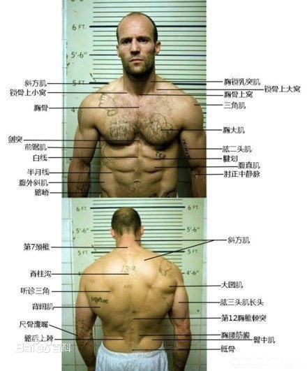 http://www.omega3-ala.com/pics/star/pic/36cdc867c7af7bef9176763e8b25c728.jpg