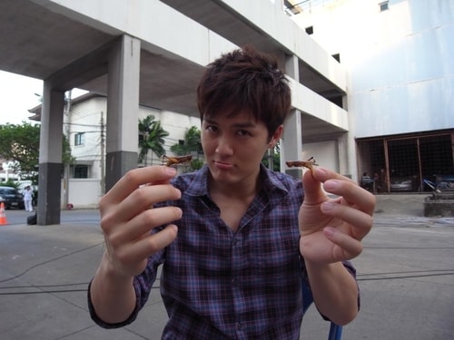http://www.omega3-ala.com/pics/star/pic/3f2b01b3888d32e25eee5bd4584ebdf4.jpg
