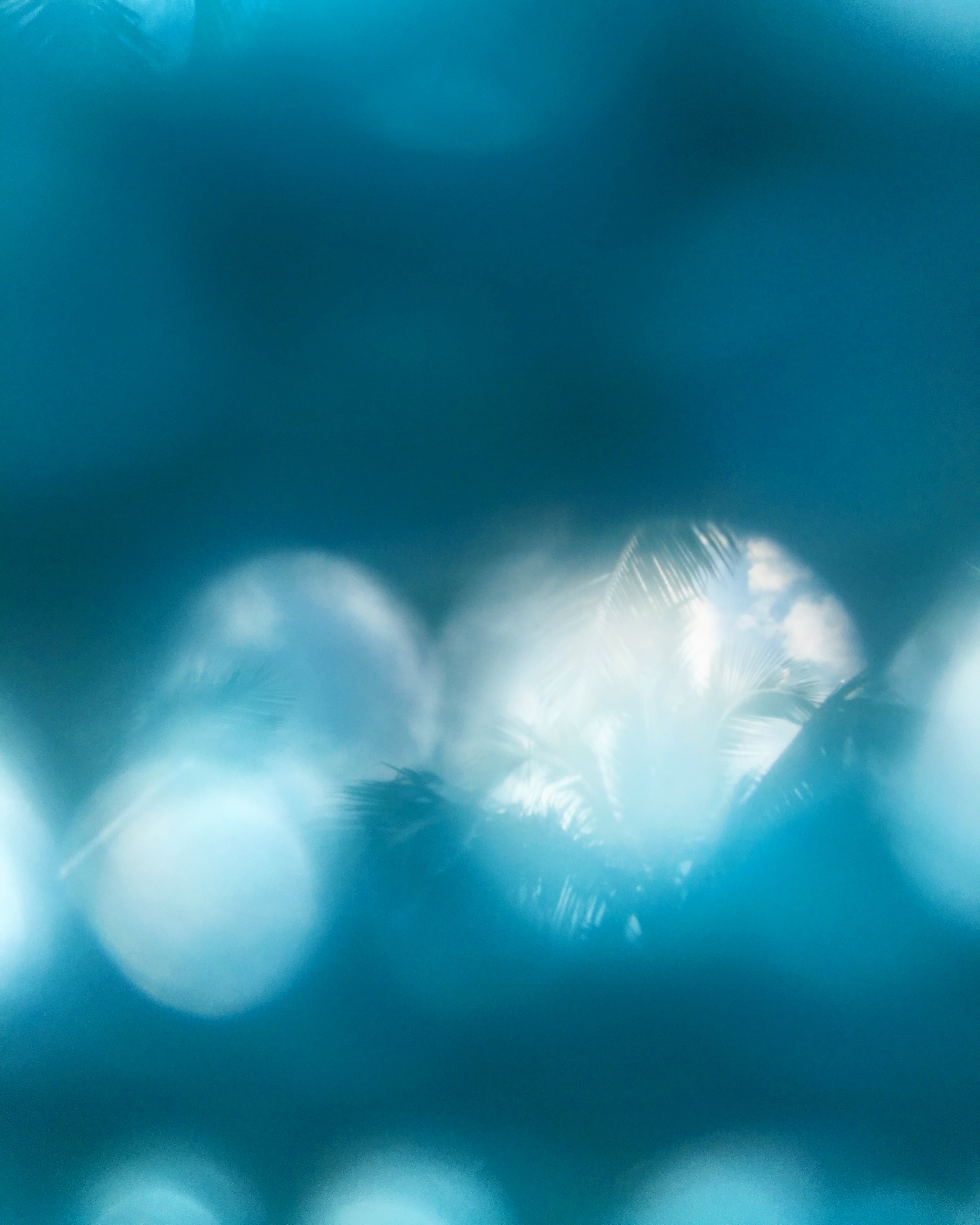 http://www.omega3-ala.com/pics/star/pic/418b58935bea5d8c397bc715d36cb5e4.jpg