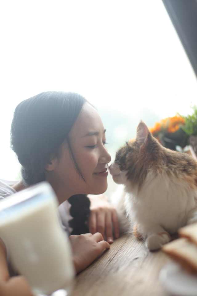 http://www.omega3-ala.com/pics/star/pic/4949ecfa61eeeeb1b5229ff414ceb4a7.jpg