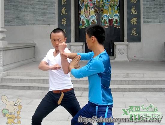 http://www.omega3-ala.com/pics/star/pic/4d3e/159ffb3434d77c17588781802dc3.jpg