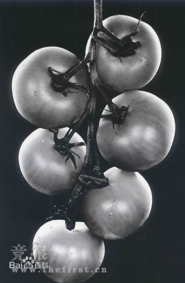 http://www.omega3-ala.com/pics/star/pic/7db93447e52baf10993101cb88b00782.jpg