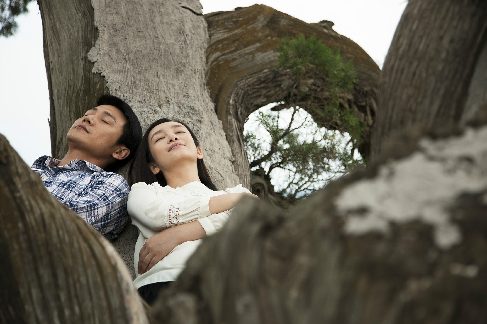 http://www.omega3-ala.com/pics/star/pic/b7c1/e8d74f75782527484a9dffba428d.jpg