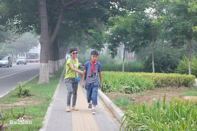 http://www.omega3-ala.com/pics/star/pic/bf1660dbbe127a5cf964be80870bb90a.jpg
