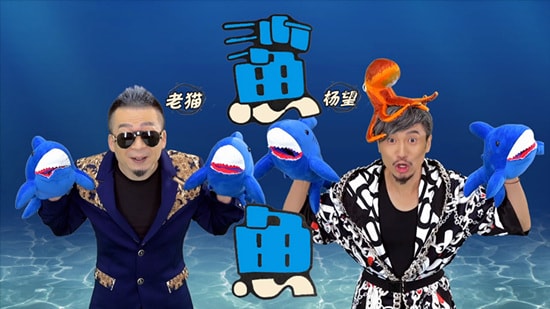 http://www.omega3-ala.com/pics/star/pic/fecf1d75da2ffc7271473ae3a024df44.jpg